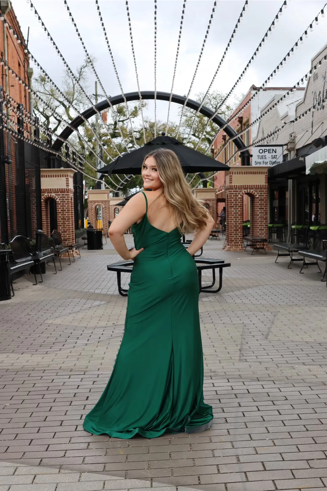 Celeste Fitted Stretch Satin Gown