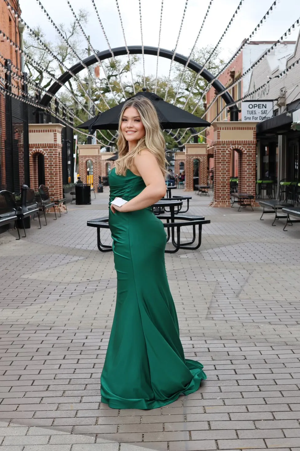 Celeste Fitted Stretch Satin Gown