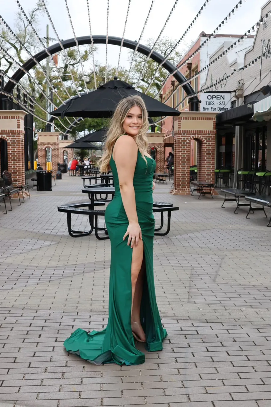 Celeste Fitted Stretch Satin Gown