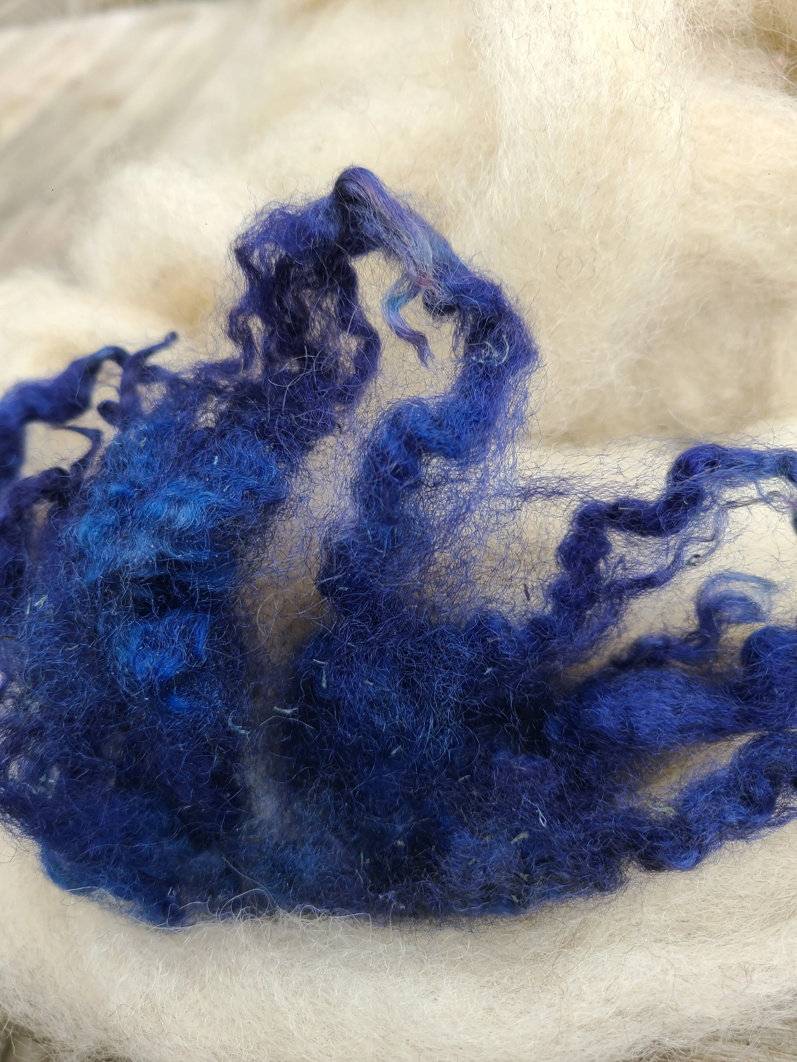 Locks Midnight Blue dyed Romney Locks- 4 ounces