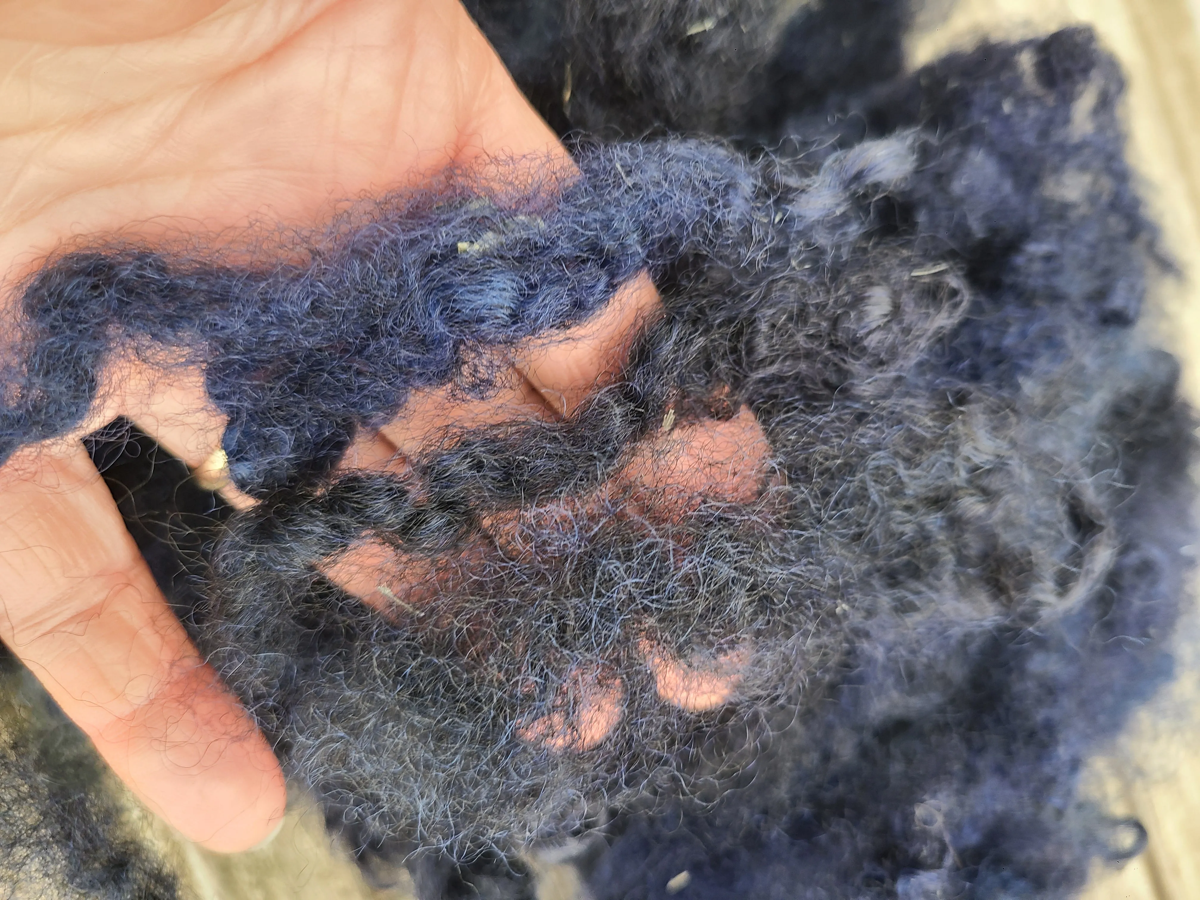 Locks Midnight Blue dyed Romney Locks- 4 ounces